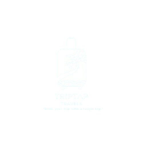logo-no-bg